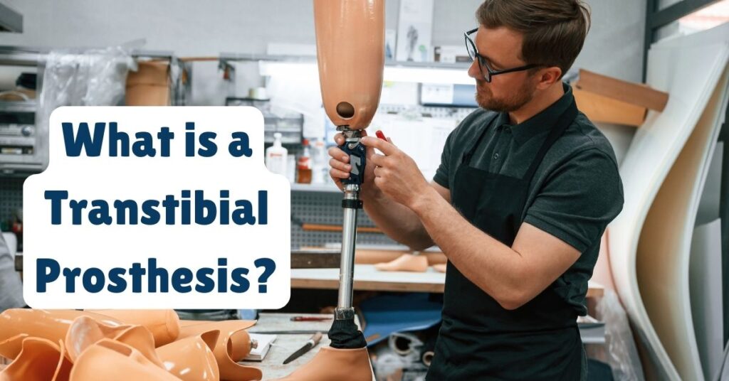 What is a Transtibial Prosthesis